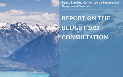 Patient Input into the 2023 BC Budget Public Consultation